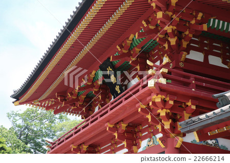 鶴岡八幡宮 22666214