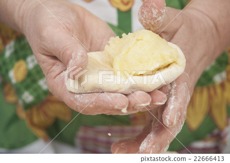 Several small patties Several small patties 22666413