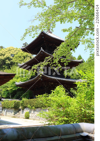 Shiga Mitsuiji Triple Tower Shiga Mitsuiji Triple Tower 22666414