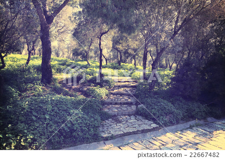 Vintage photo of central park in Athens, Greece 22667482