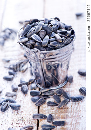sunflower seed 22667545
