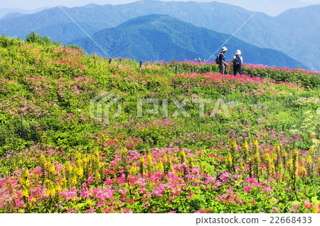 Ibukiyama景觀 22668433