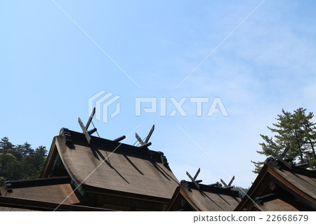 The main shrine of Izumo Taisha of National Treasures 22668679