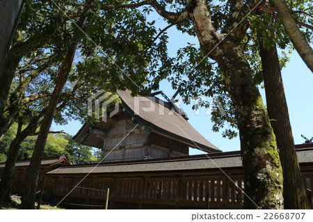 從Izumo Taisha Shrine主殿後面看到的國寶 從Izumo Taisha Shrine主殿後面看到的國寶 22668707