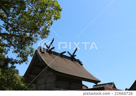 The main shrine of Izumo Taisha of National Treasure 22668726