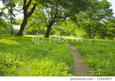 Park promenade 22669007