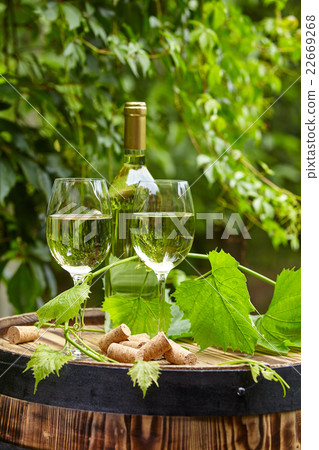 Grape and white wine on wooden barrel Grape and white wine on wooden barrel 22669268