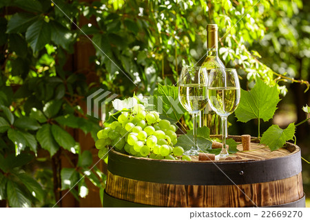 Grape and white wine on wooden barrel Grape and white wine on wooden barrel 22669270
