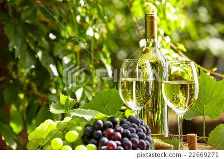 Grape and white wine on wooden barrel Grape and white wine on wooden barrel 22669271