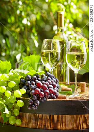 Grape and white wine on wooden barrel Grape and white wine on wooden barrel 22669272