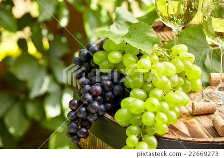 Grape on a wooden barrel. Grape on a wooden barrel. 22669273