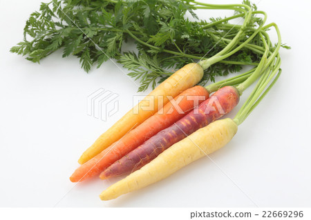 Carrot horizontal position with colorful leaves 22669296