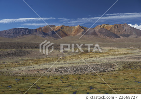 Landscape of Lauca National Park Landscape of Lauca National Park 22669727