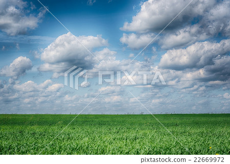 Summer landscape with grass and dramatic sky 22669972