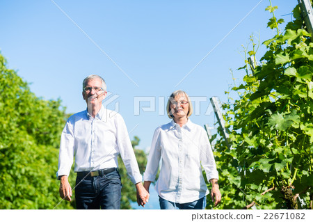 Senior woman and man having walk in summer 22671082