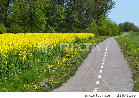 Cycleway by spring 22671150