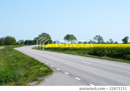Road in a spring colored landscape Road in a spring colored landscape 22671151