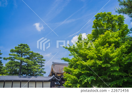 新綠色京都庭院 新綠色京都庭院 22671456