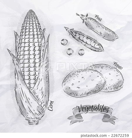Vegetables corn, peas, potatoes vintage Vegetables corn, peas, potatoes vintage 22672259