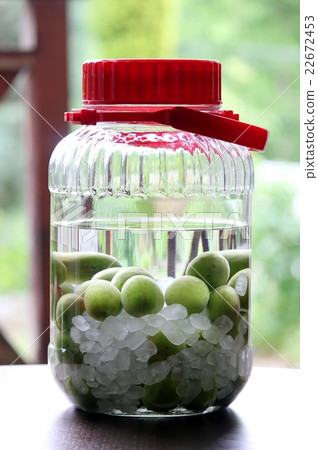 Plum wine homemade Plum wine homemade 22672453