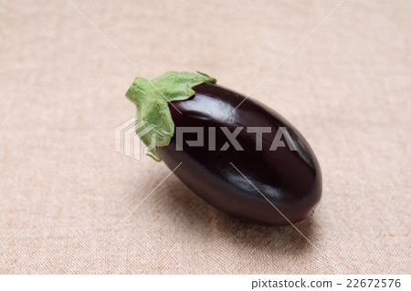 美國茄子 22672576