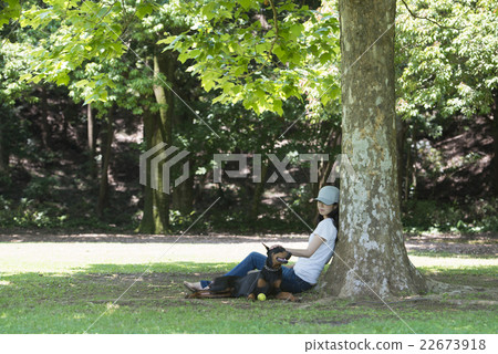 A woman relaxing with a dog in the shade of a tree 22673918