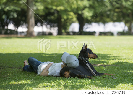 採取與短毛獵犬的婦女休息作為枕頭 採取與短毛獵犬的婦女休息作為枕頭 22673961