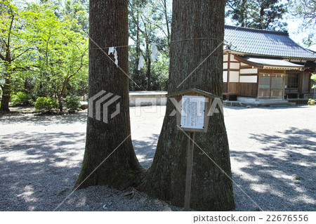 Iyakami夫婦的Oyama神社森林公司公司夫婦 22676556