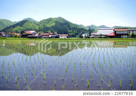 天藍色的天空晴朗的satoyama春天春天稻田幼苗山 天藍色的天空晴朗的satoyama春天春天稻田幼苗山 22677610