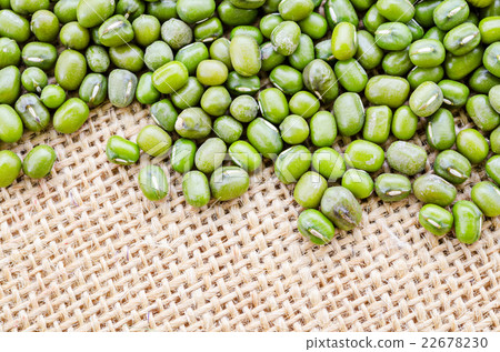 Mung bean seeds Mung bean seeds 22678230