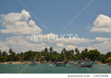 Fishing village at the southern end of Sri Lanka with fishing boats with outriggers lined, Mirsa 22679486