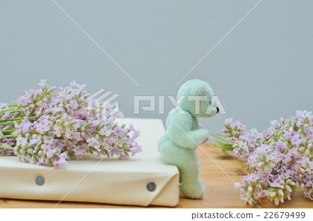 Pink lavender and teddy bear 22679499