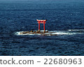 Torii torii 22680963