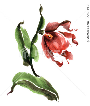 Watercolor painted flower 22681933