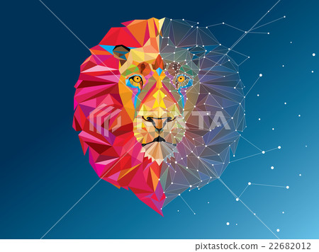 Lion head in geometric pattern with star line  22682012