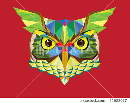 Owl head in geometric pattern 22682017