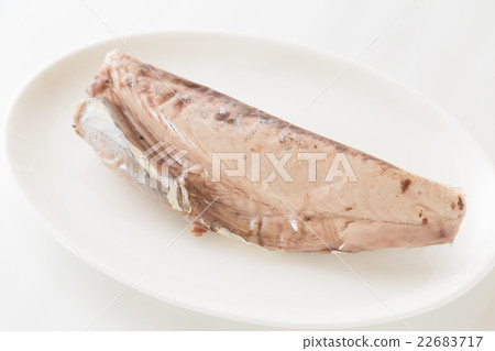 鰹魚白色後背部分的底部 鰹魚白色後背部分的底部 22683717