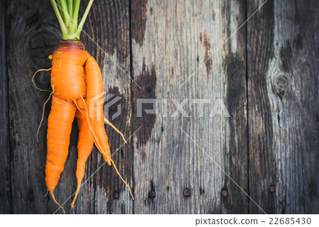 Ugly carrot on barn wood 22685430