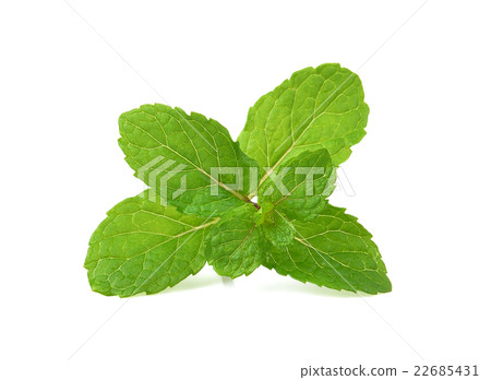 mint leaves on white background mint leaves on white background 22685431