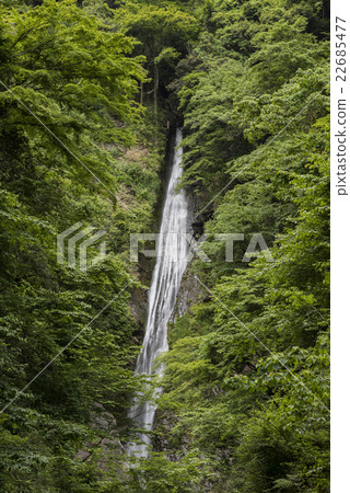 青葉的花式瀑布 22685477