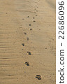 Sandy footprints 22686096