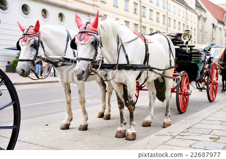 Horse-drawn carriage Horse-drawn carriage 22687977