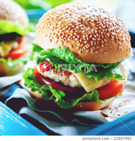 Traditional Hamburgers Fast Food Blue Tray Table Traditional Hamburgers Fast Food Blue Tray Table 22687991
