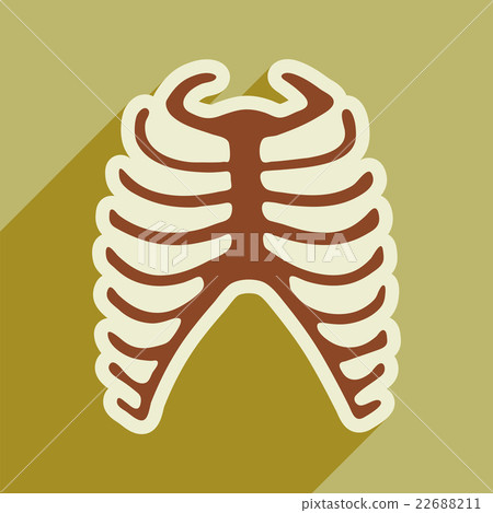 flat icon with long shadow human rib 22688211
