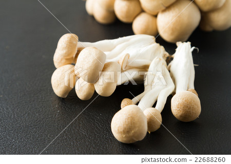shimeji mushrooms brown varieties 22688260