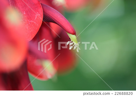 美國Digg 美國Digg 22688820