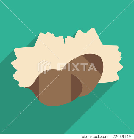 Flat with shadow icon and application pine nuts 22689149