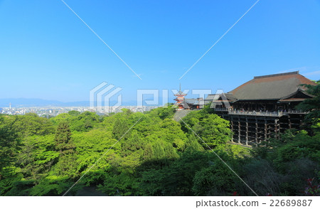 The stage of the fresh green fresh water The stage of the fresh green fresh water 22689887