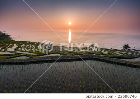白米Senjida晚上風景 白米Senjida晚上風景 22690740