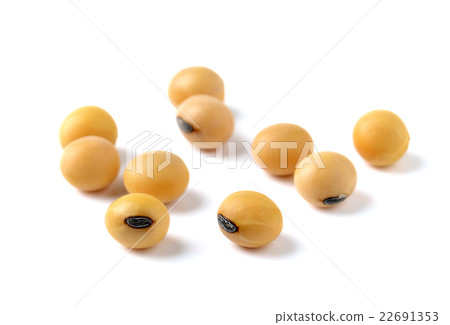 Closeup of soy beans on white background Closeup of soy beans on white background 22691353